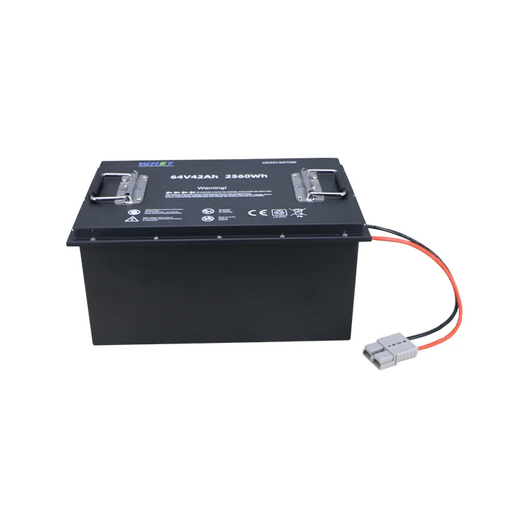24V 48V AGV Battery